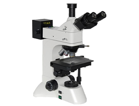 微分干涉相襯（DIC）顯微鏡